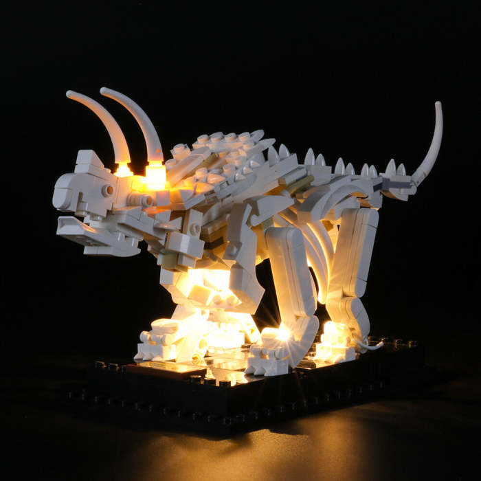 Light Kit For Dinosaur Fossils Limited 0