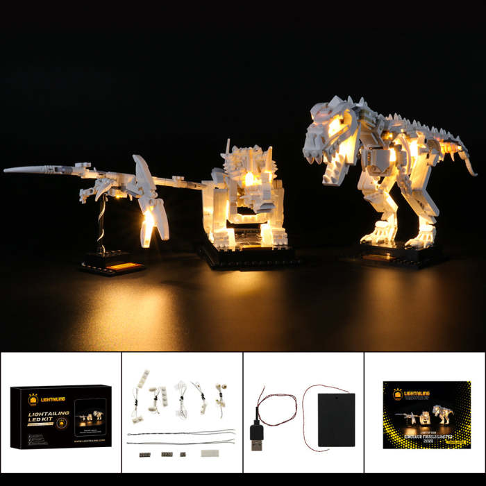 Light Kit For Dinosaur Fossils Limited 0