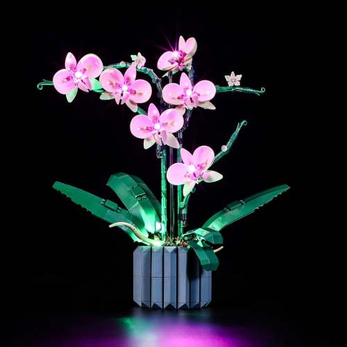 Light Kit For Orchid 1