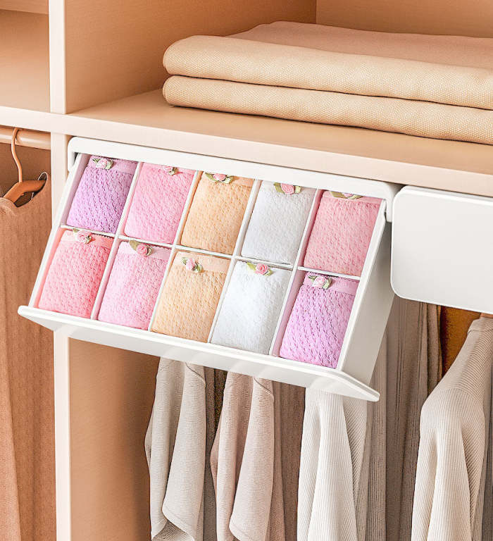 Underwear Storage Drawer Slid Out Home Organization 5/10 Compartment