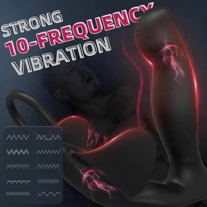 Noah 10 Vibrating Heating Ergonomic Prostate Massager
