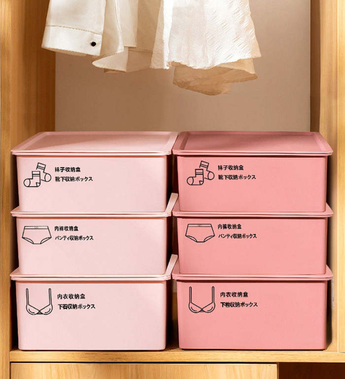 Closet Socks Underwear Divider Organizer Box With Lid