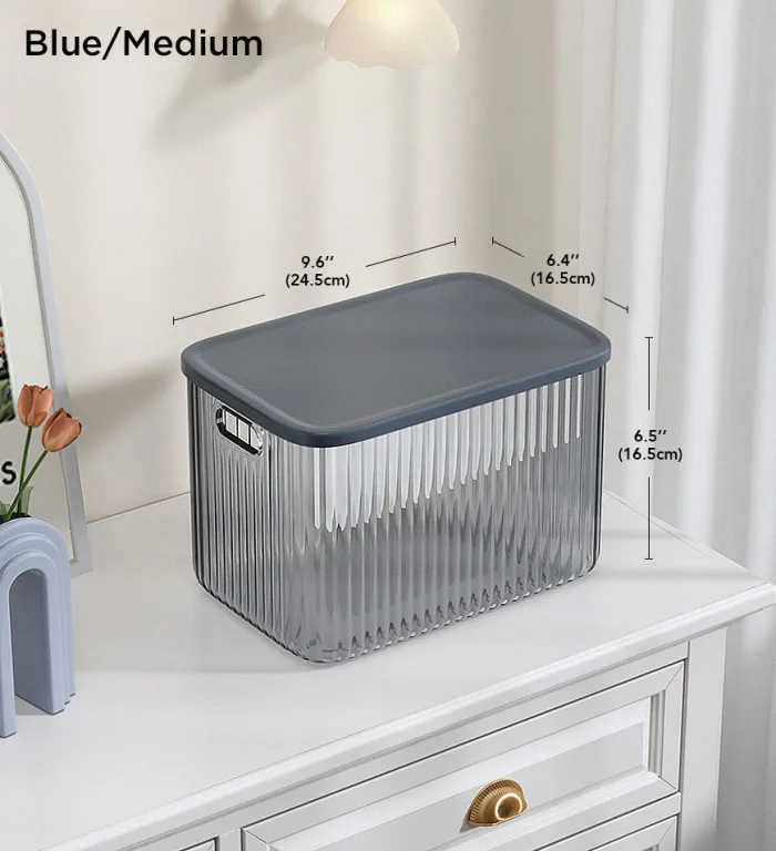 Multifunctional Translucent Acrylic Desktop Storage Box
