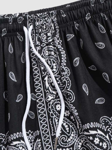 Ethnic Style Paisley Printed Shirt With Shorts Set
