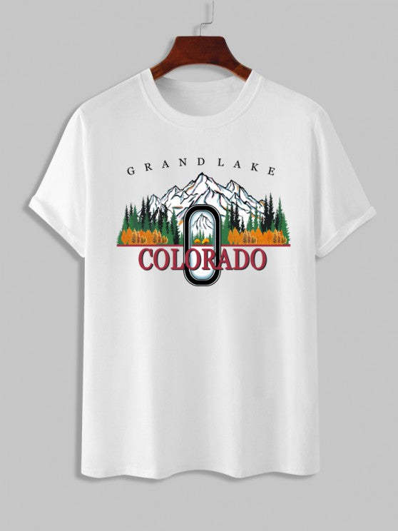 Landscape Graphic T Shirt With Basic Solid Color Shorts Set