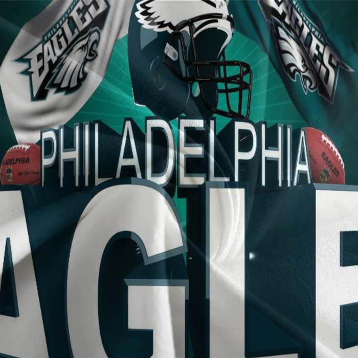 Philadelphia Eagles Bedding Set Duvet Cover Without Filler