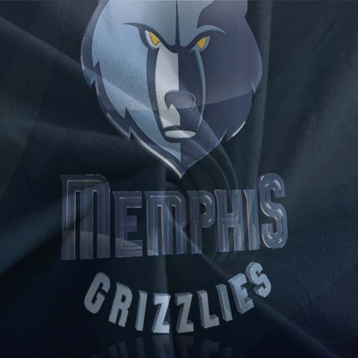 Memphis Grizzlies Bedding Set Duvet Cover Without Filler