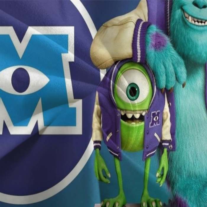 Monsters University Bedding Set Pattern Quilt Cover Without Filler