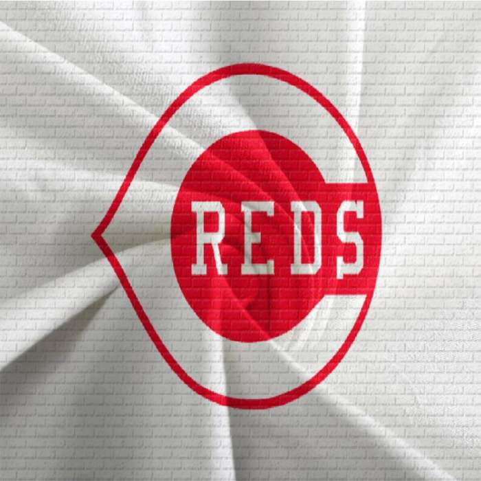 Cincinnati Reds Bedding Set Quilt Cover Without Filler