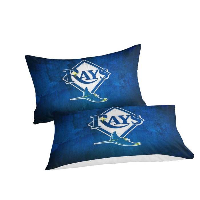 Tampa Bay Rays Bedding Set Quilt Cover Without Filler