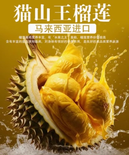 The King of Fruit World - Durian