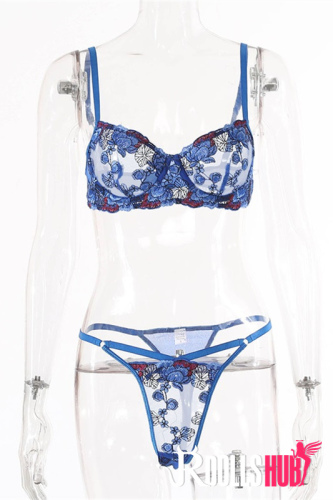 Sexy Transparent Blue Flowers Embroidered Bikini
