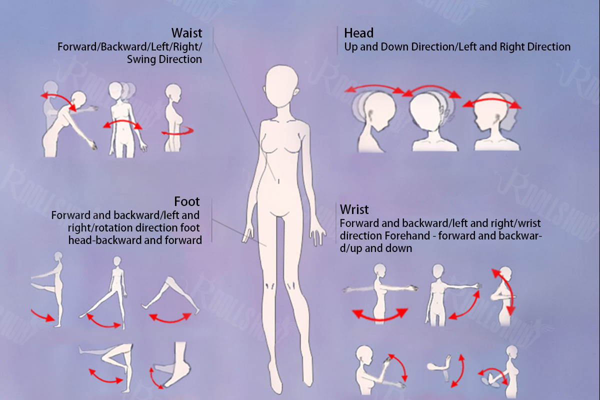 Sex doll Skeleton Range of Motion