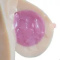 Gel-Filled (Softer and more realistic experience)