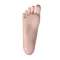Hard Feet (Standing feet without screw)