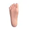 Hard Feet (Standing feet without screw)