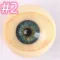 Blue Movable Eyes with Vessels