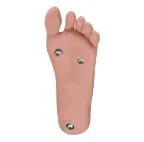 Big Ass Sex Doll Ariel - Piper Doll - 140cm/4ft5 Silicone Sex Doll