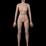 Marie Rose Sex Doll: Dead or Alive Silicone Doll, AXB 147cm/4ft8 A-Cup
