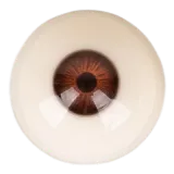 Starpery Doll Head