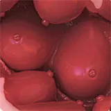 Elf Sex Doll Miu - Elsababe Doll - 150cm/4ft9 X-Large Breasts TPE Body with Silicone Head