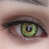 Male Sex Doll Barry - Irontech Doll - 175cm/5ft9 TPE Sex Doll With Silicone Head