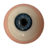 BBW Sex Doll Amy - Starpery Doll - 175cm/5ft74 Silicone Sex Doll