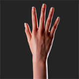 Small Breast Sex Doll Lani - Lusandy Doll - 161cm/5ft3 Silicone Sex Doll