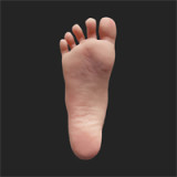 Small Breast Sex Doll Lani - Lusandy Doll - 161cm/5ft3 Silicone Sex Doll