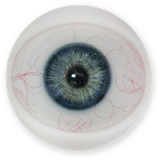 Blonde Sex Doll Torso Maria - Fanreal Doll - 109cm Silicone Sex Doll [EUR In Stock]