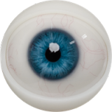 Big Boobs Sex Doll Torso Della - Fanreal Doll - 95cm Silicone Sex Doll [EUR In Stock]