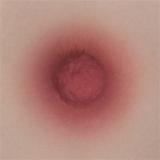 Bayonetta Sex Doll: Bayonetta 3 Silicone Doll, Game Lady 170cm/5ft7 B-Cup