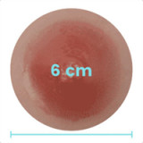 Asian Sex Doll Tanya - SHEDOLL - 168cm/5ft6 Silicone Sex Doll