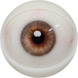 Male Sex Doll Henry - Fanreal Doll - 173cm/5ft7 Silicone Sex Doll