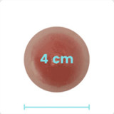 Asian Sex Doll Lina - SHEDOLL - 156cm/5ft1 Silicone Sex Doll