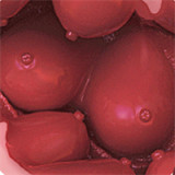 Elf Sex Doll Aihara Mirai - Elsababe Doll - 148cm/4ft9 Large Breast TPE Body with Silicone Head