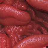 Elf Sex Doll Chiyo - Elsababe Doll - 165cm/5ft4 X-Large Breasts TPE Body with Silicone Head