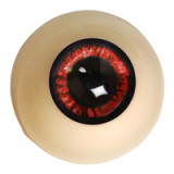 Elf Sex Doll Aihara Mirai - Elsababe Doll - 148cm/4ft9 Large Breast TPE Body with Silicone Head