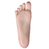 Beast Sex Doll Rina - Elsababe Doll - 150cm/4ft9 X-Large Breasts TPE Body with Silicone Head