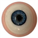 Elf Sex Doll Aihara Mirai - Elsababe Doll - 148cm/4ft9 Large Breast TPE Body with Silicone Head