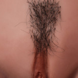 Harley Quinn Sex Doll - Irontech Doll - 166cm/5ft5 Harley Sex Doll