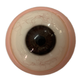 Male Sex Doll Caeser - Starpery Doll - 175cm/5ft9 TPE Sex Doll With Silicone Head