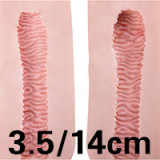 Male Sex Doll Caeser - Starpery Doll - 175cm/5ft9 TPE Sex Doll With Silicone Head