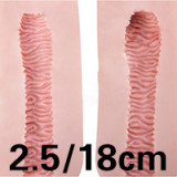 Male Sex Doll Caeser - Starpery Doll - 175cm/5ft9 TPE Sex Doll With Silicone Head