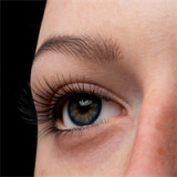 Asian Sex Doll Nicole - Zelex Inspiration Series - 162cm/5ft4 Silicone Sex Doll