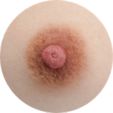 MILF Sex Doll Torso Maddy - Fanreal Doll - 111cm Silicone Sex Doll