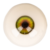 Big Booty Sex Doll Honey - Starpery Doll - 172cm/5ft6 TPE Sex Doll With Silicone Head