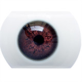 Big Breast Sex Doll Roxy - Aibei Luxe Series - 167cm/5ft6 Silicone Sex Doll