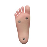 Asian Sex Doll Yui - Irontech - 158cm/5ft2 Silicone Sex Doll