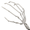 Ball Jointed Fingers (With finger bone rounded tips)